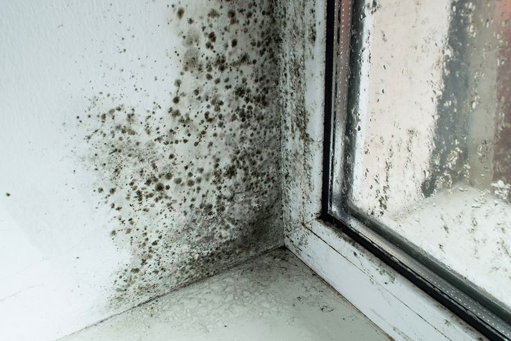 Mold Control